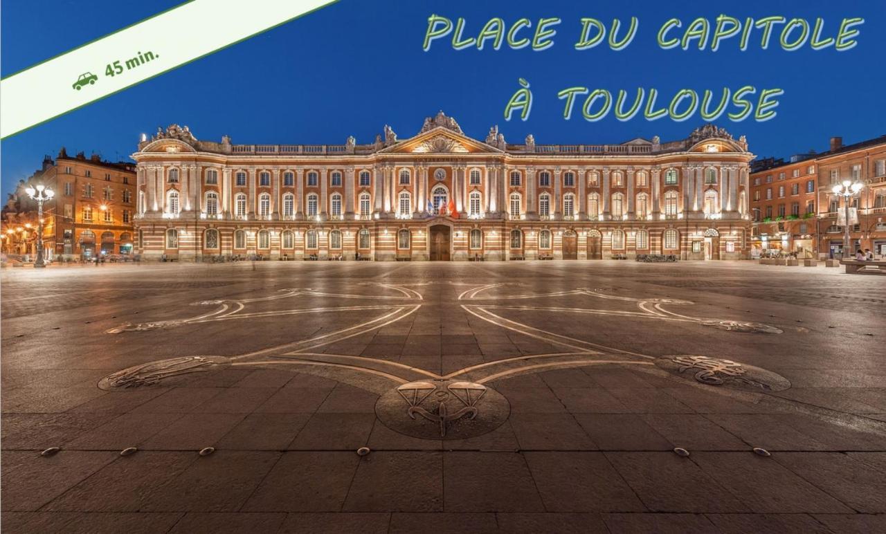דירות Castelnau-dʼEstrétefonds Le Cosy Eurocentre ► Terrasse ► Parking ► Wifi ► 24/24 מראה חיצוני תמונה